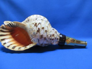 法螺貝　32.6㎝　貝袋付　590g　22100円　山伏修験 法螺貝32.6㎝貝袋付590g22100円山伏修験