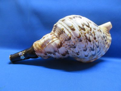 画像1: 新発売 戦国法螺貝 不動明王梵字入桔梗