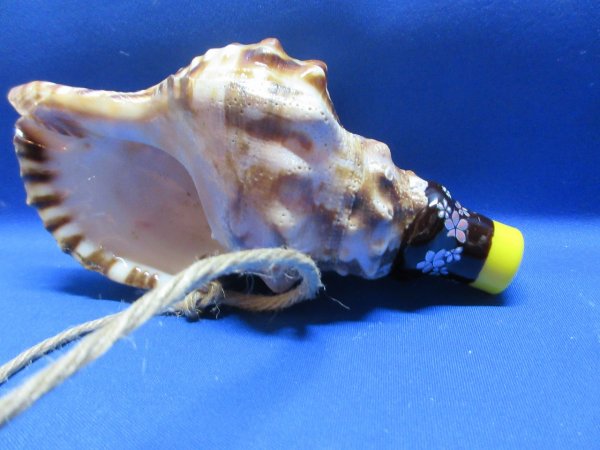 画像1: 新バージョン　祭りほら貝ミニ 　桜吹雪 (1)