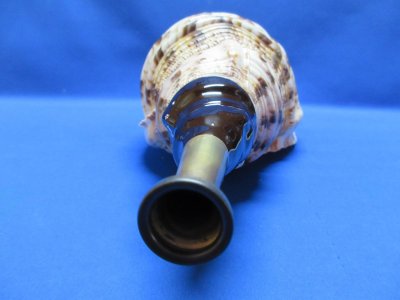 画像2: 戦国ホランペット 桜