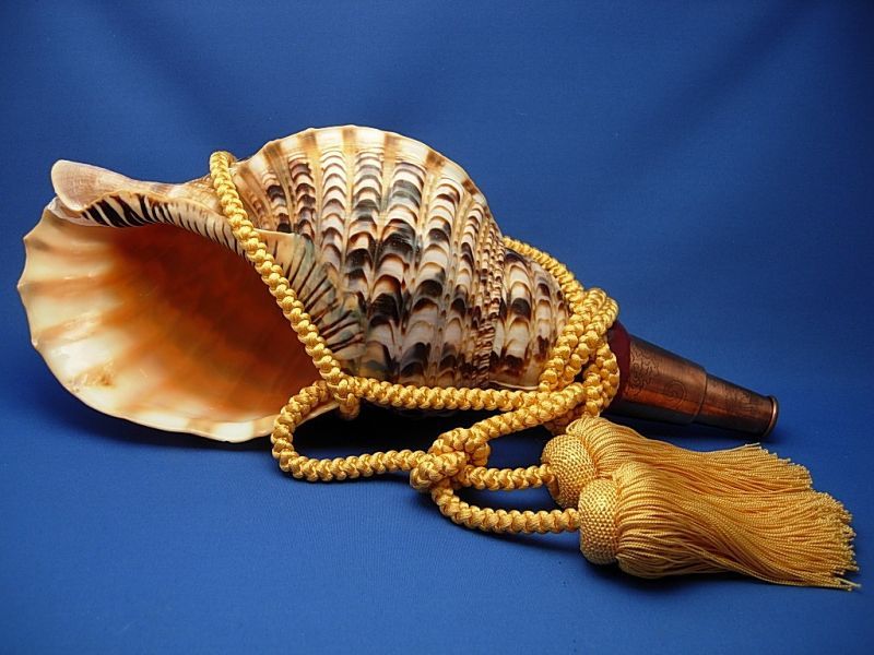 龍神の法螺貝