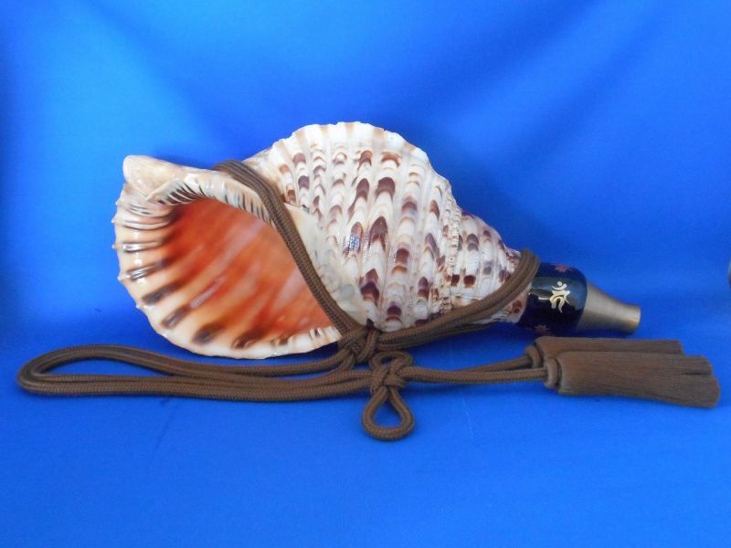 幻の法螺貝誕生　最高級(天台タイプ）　歌口木製法螺貝　修験の響き　不動明王　梵字とカエデ