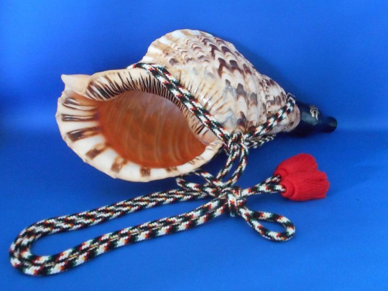法螺貝 歌口…手作りです。 ほら貝 ホラガイ - インテリア小物