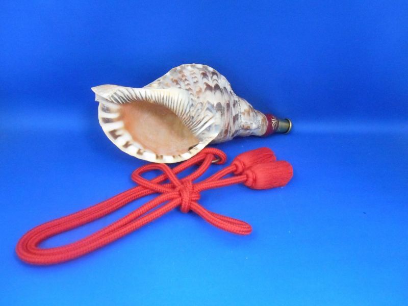 天然ほら貝 法螺貝 ホラガイ 貝の笛 手作り網袋ネットつき 魔除け 護身 ...